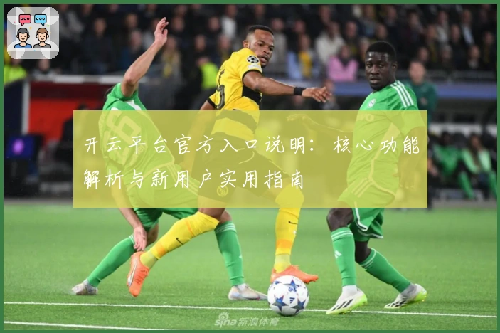 开云平台官方入口说明：核心功能解析与新用户实用指南